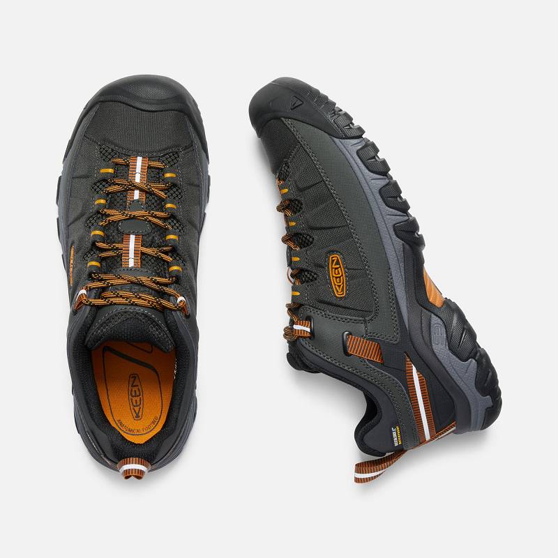 Keen Targhee EXP Waterproof Wanderschuhe Herren DE-62534 Raven/Inca Gold - Keen Herrenschuhe Grün